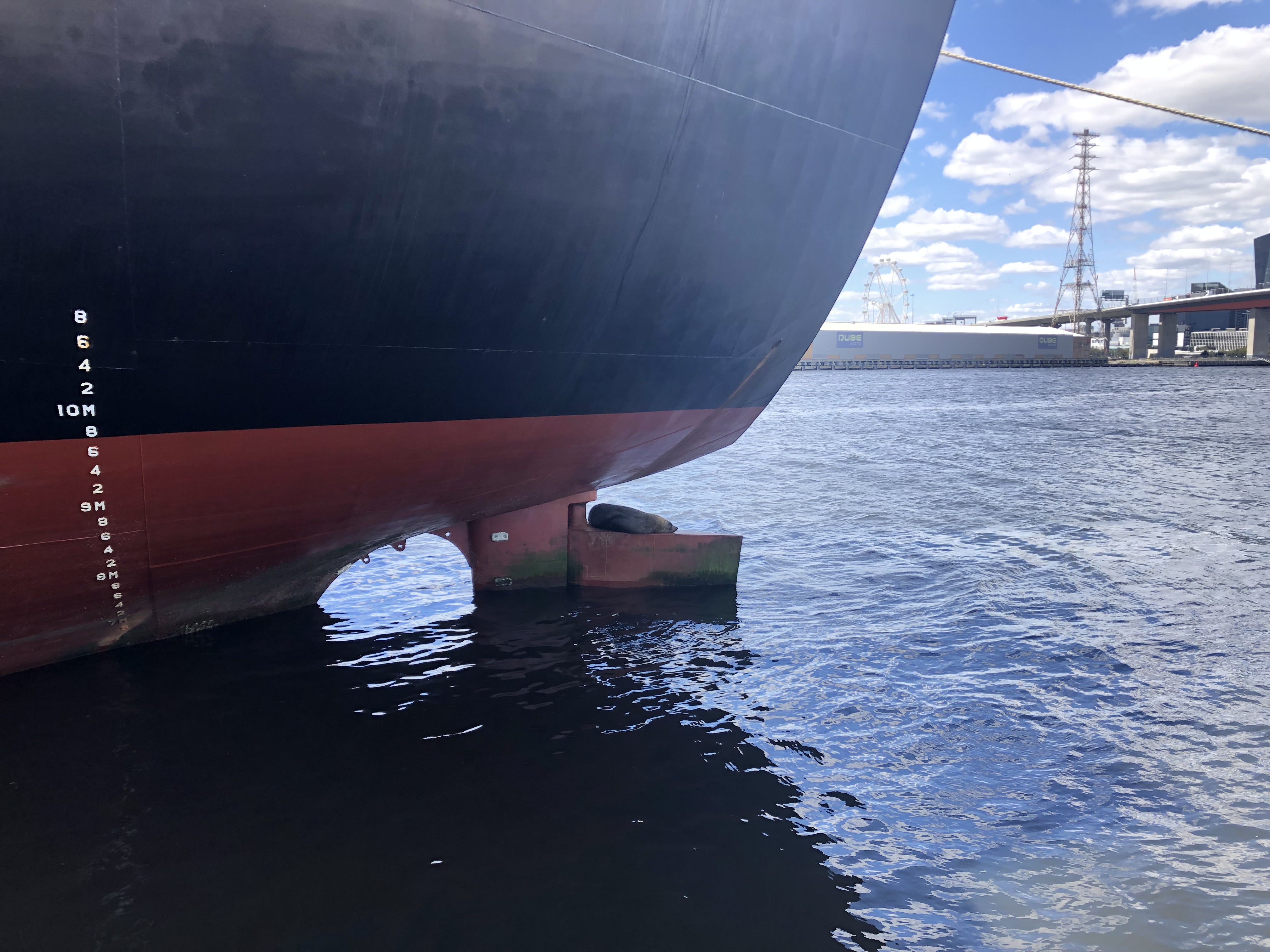 CSL Australia partners to plan shore power that will significantly